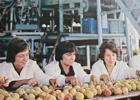 Консервен комбинат "Иван Лилов" в Сливен, 1971 г ~ Бгспомен
