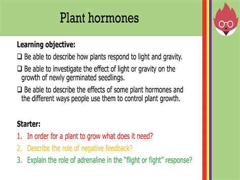 Aqa Gcse Biology Plant Hormones Teaching Resources