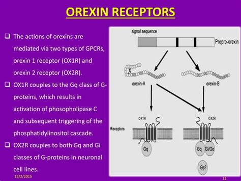 OREXIN RECEPTOR ANTAGONISTS