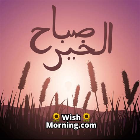 Good Morning Arabic Wishes Wish Morning