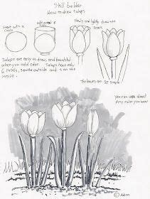 Adron S Art Lesson Plans How To Draw Tulips A Beginners Drawing