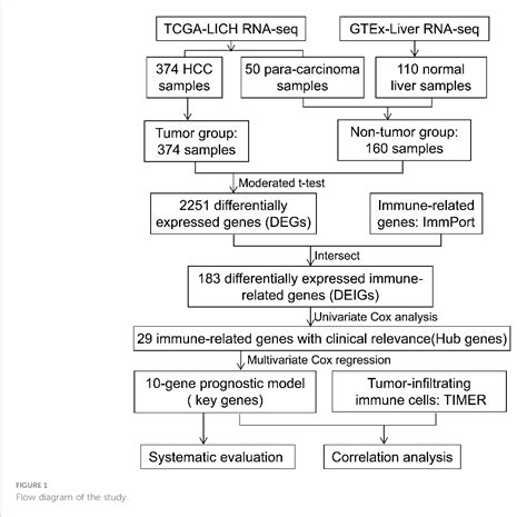 Figure From A Novel Immune Related Gene Signature Predicts The