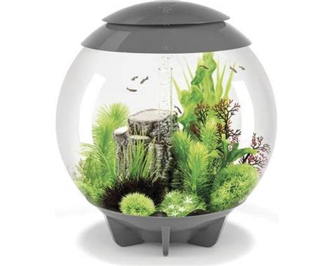 Aquarium Biorb Halo Led Liter Grijs Koop Nu Bij Haxo