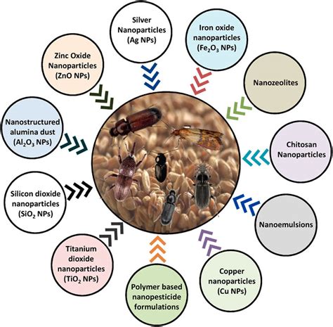 Frontiers Nanomaterials For Postharvest Management Of Insect Pests