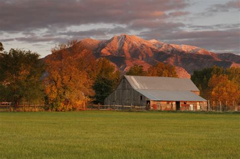 American Fork Utah Demographics At Ethel Robles Blog