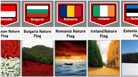 Nature Flags Of Different Countries Youtube