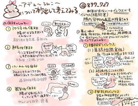 便秘とイレウスについての種類のまとめイラスト 薬ゴロ（薬学生の国試就活サイト）