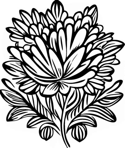 Aster Coloring Page Free Printable Coloring Pages