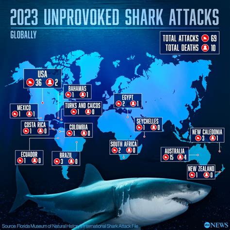 10 people killed in unprovoked shark attacks last year, report finds ...