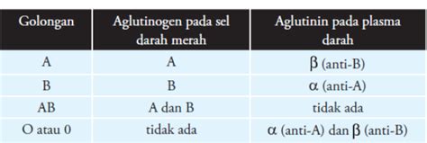 A Bunga Dan Dianpada Sistem Abo Golongan Darahnya Ditentukan Oleh