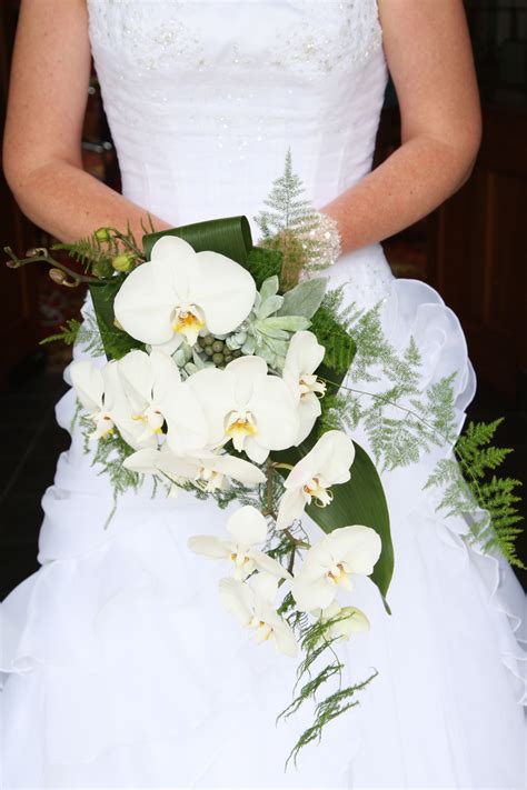 Phalaenopsis Wedding Bouquets : Wedding Bouquet Of White Flowers ...