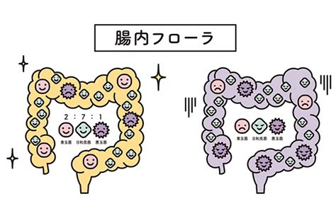 免疫力を高めるには、「自律神経」と「腸内環境」を整えよう