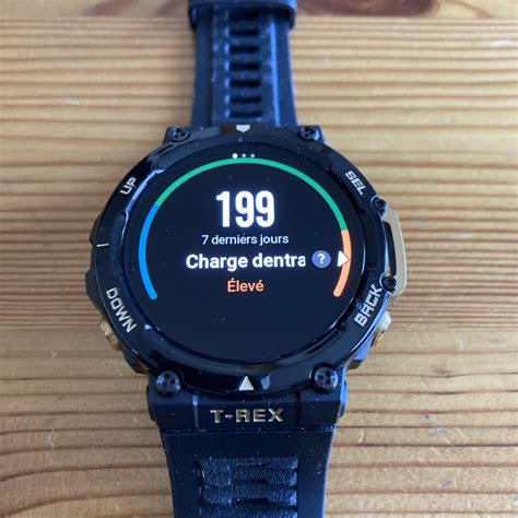 Test Amazfit T Rex 2 Alternative Low Cost Pour Loutdoor Montre