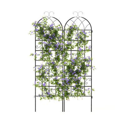 2 Pack Fence Trellis Panels Metal Garden Trellis for Climbing Plants ...