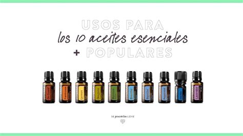 Usos De Los Aceites Esenciales M S Populares