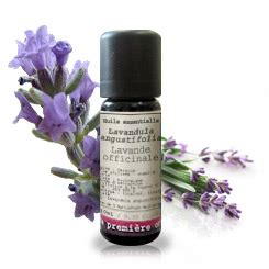 Huile Essentielle Lavande Officinale Bio Bio Lavandula Angustifolia