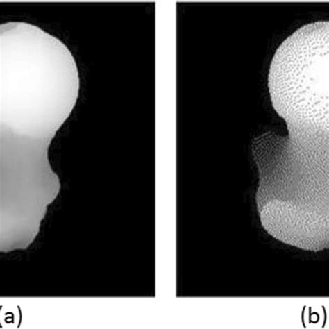 Segmentation Results A Original Image B Segmentation Using Active Download Scientific Diagram