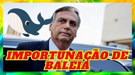 Bolsonaro Exibe Multa Do Ibama Por Importuna O De Baleia