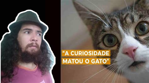 Expressões Suas Origens A Curiosidade Matou O Gato YouTube