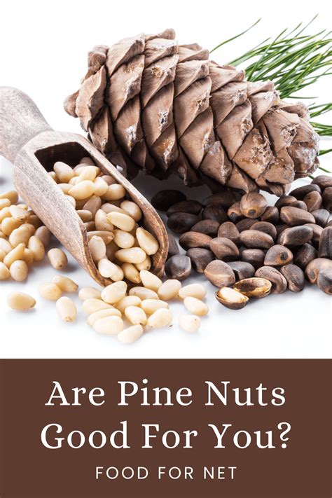 Are Pine Nuts Good For You? | Food For Net