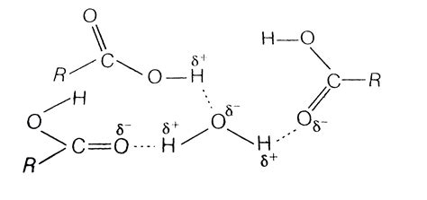 Formation Of Intramolecular H Bonding