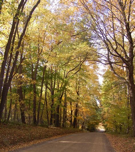 Best Fall Foliage drives midway between Pittsburgh and Erie | Visit ...