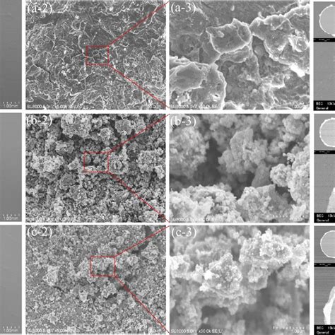 SEM Microstructures Of The Surfaces And Cross Sections Of The Samples