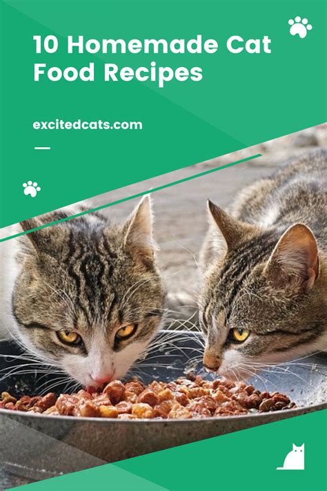 9 Homemade Cat Food Recipes Vet Approved Excited Cats Recipe Homemade Cat Food Homemade