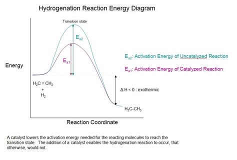 Catalytic Hydrogenation Of Alkenes Chemistry Libretexts