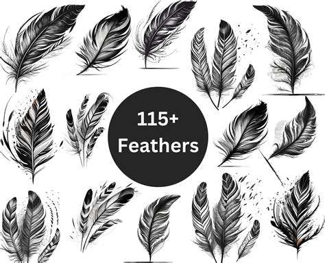 110 Feather SVG Bundle Birds Feather Svg Feather Png Etsy Australia