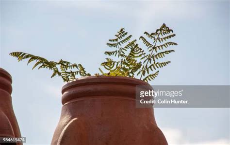 Sculpted Chimney Photos And Premium High Res Pictures Getty Images