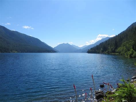 Beautiful Lake Crescent In The Olympic National Park Area Of Washington