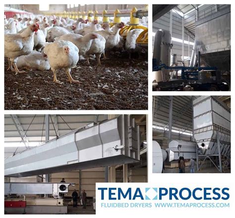 poultry manure drying | Tema Process