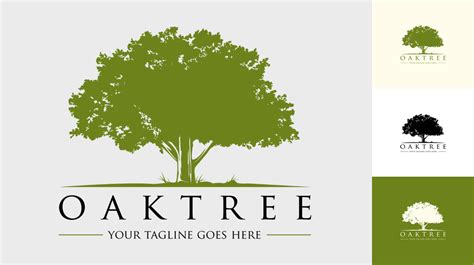 Oak Tree Logo Logos And Graphics