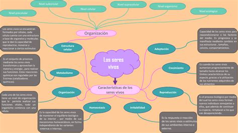 Los Seres Vivos Mapa Conceptual De Los Seres Vivos Porn Sex Picture