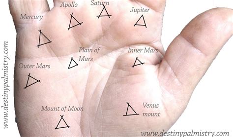 Triangle Mark On The Palm Mounts Palmistry Palmistry Palm Reading