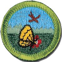 Nature Merit Badge