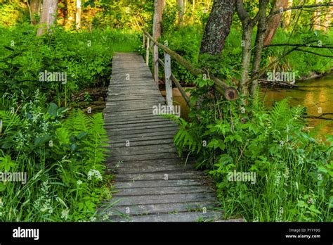 Wooden Bridge Above The Water Stock Photo Alamy