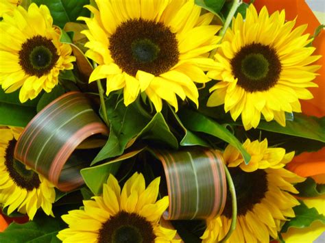 Buy Stunning Sunflower Bouquets Online in Christchurch