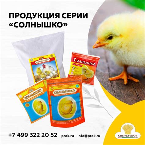 Корм Солнышко – гарантия сохранности молодняка! - Группа компаний ...