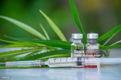 Plastic Syringe With A Needle And Green Leaves Of Hemp And Medicine In