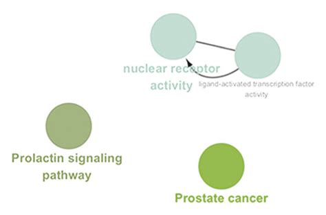 Biological Processes And Pathways Impacted By A Wedelolactone B