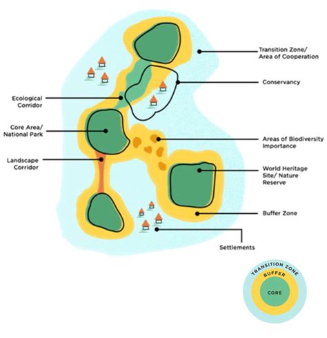 About The Research - Research Biosphere