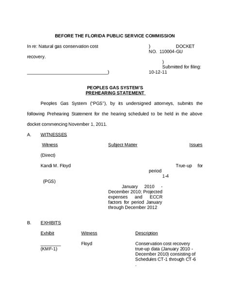 Docket No Gu Natural Gas Conservation Cost Doc Template