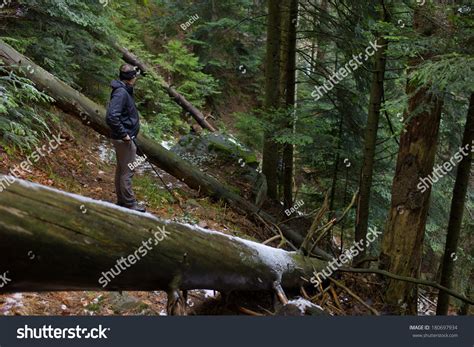 Hiking Woman, Black Forest, Germany Stock Photo 180697934 : Shutterstock