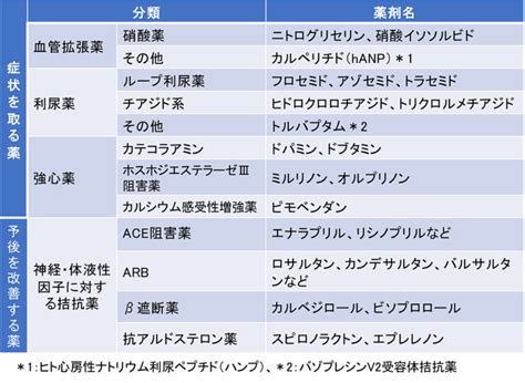 心不全の治療 医療法人恵山会 丸山病院