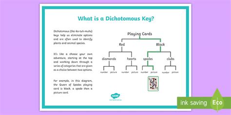 What Is A Dichotomous Key Teacher Made