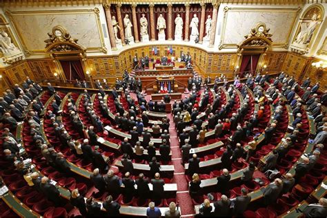 Le Sénat Va Enquêter Sur La Concentration Des Médias