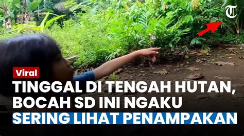 Hidup Menyendiri Di Tengah Hutan Bocah Sd Dan Orang Tuanya Ngaku