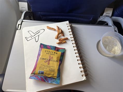 The Best Vegan Airline Snacks